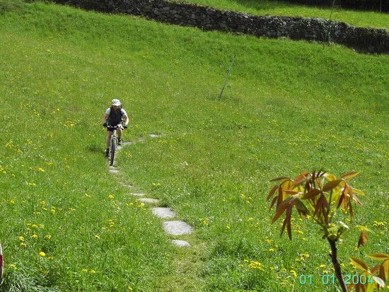 Vinschgau114