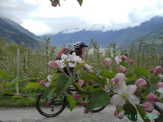 Vinschgau121
