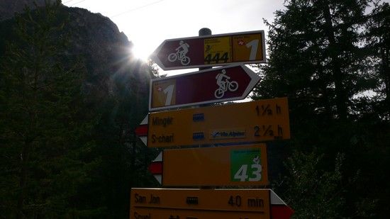 bild-6