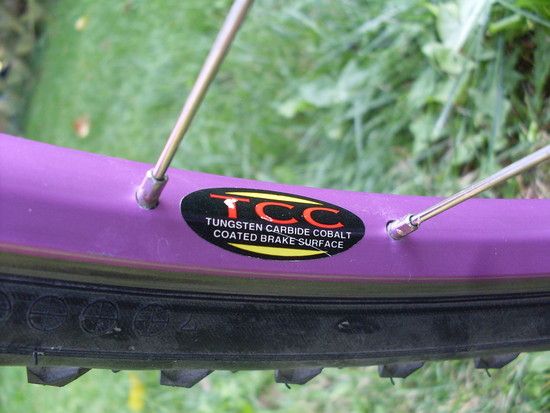 SDC10088