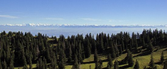 Chasseral01