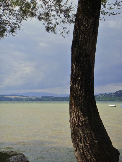 Murtensee