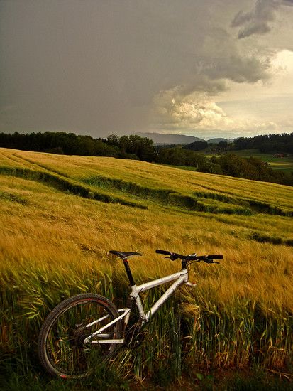 Storm