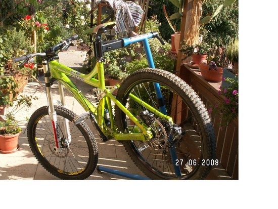 gezerrt3