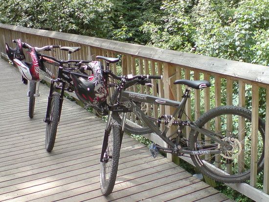 bikesinderheide1