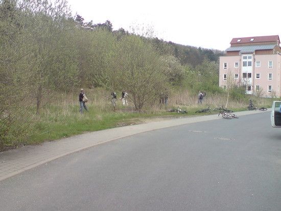pinkelpause