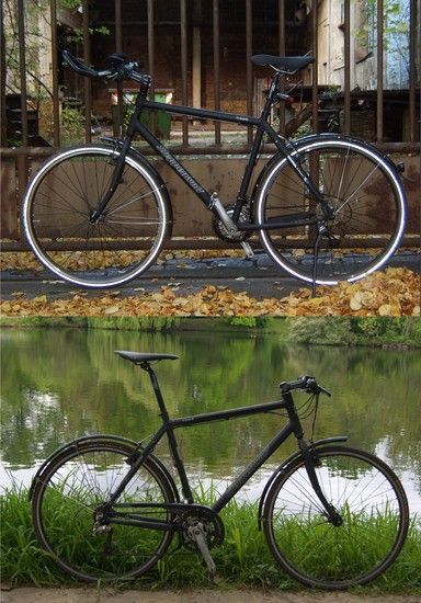 Evolution
