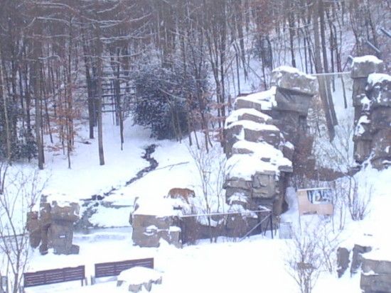 LPIC0011