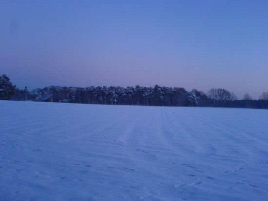DSC00102