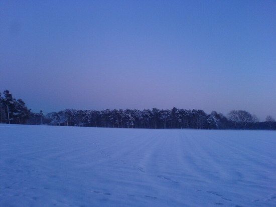 DSC00104