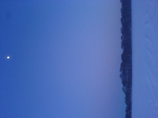 DSC00105