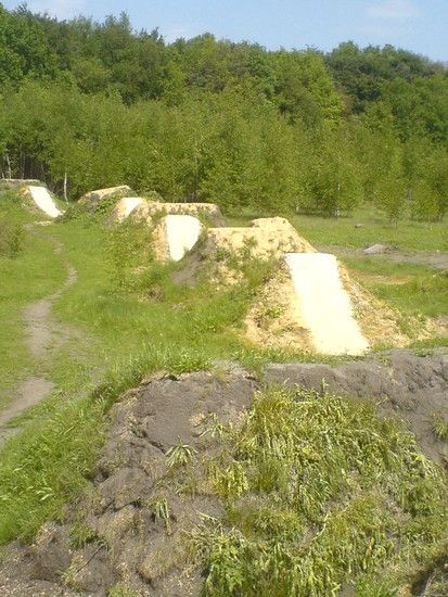 DSC00195