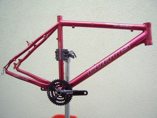 Curtis Element Team