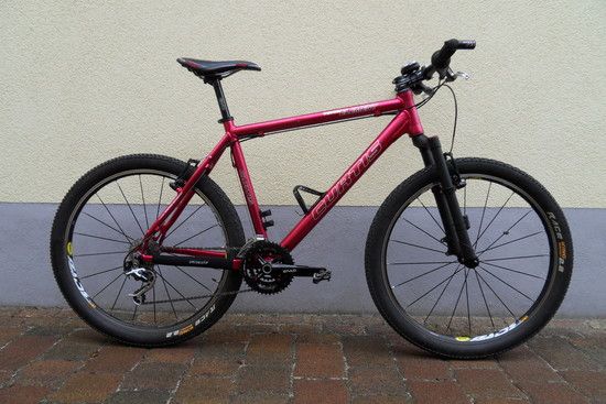 Curtis Team Element