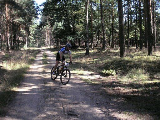 Torgauer MTB-Rennen 2008