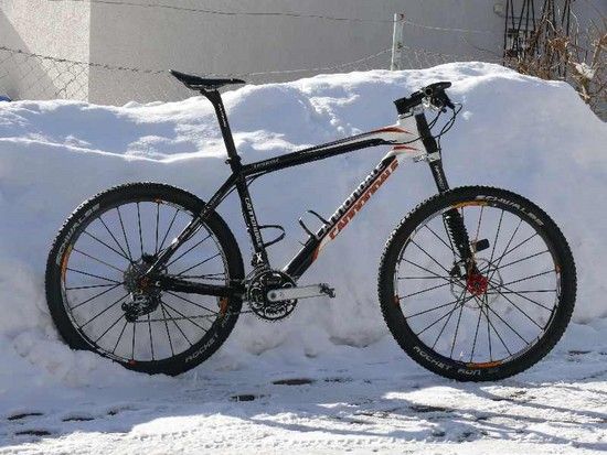 TaurineFeb10