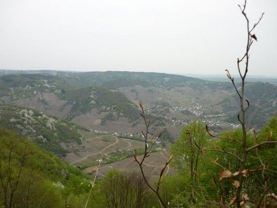 ausblickverkleinert