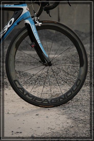 basso IMG 1494 2