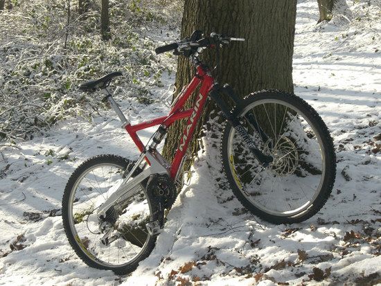 2Winter2009