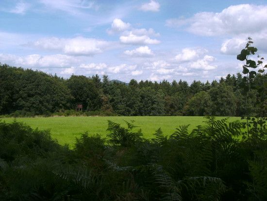 BILD0086