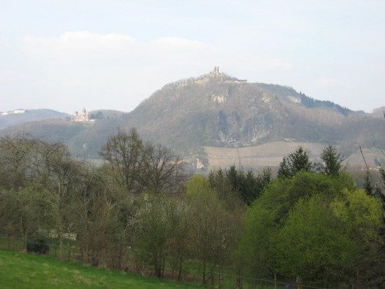 IMG 0111