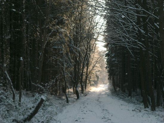 RechWeihnachtsm.ersterSchnee2009017