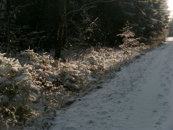 RechWeihnachtsm.ersterSchnee2009018