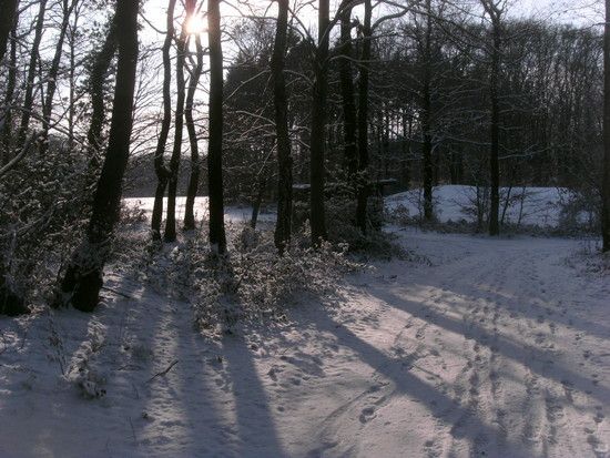 RechWeihnachtsm.ersterSchnee2009019