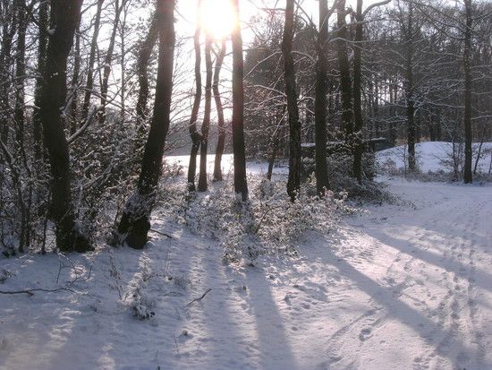 RechWeihnachtsm.ersterSchnee2009020