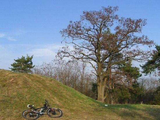 drei Hügel-Runde in Landsberg bei Halle/Saale