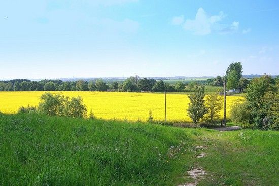 Pfingstsonntag -. Mühlberg in Hohenthurm 