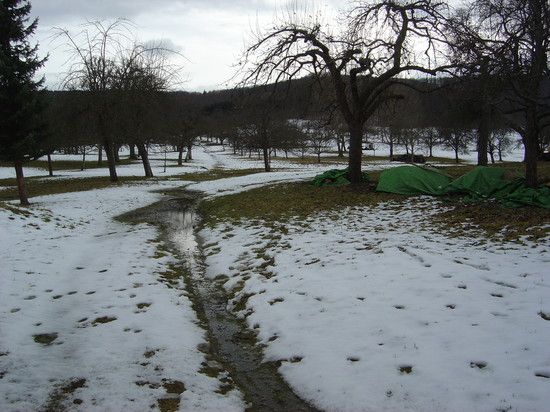 Nass und zäh 3