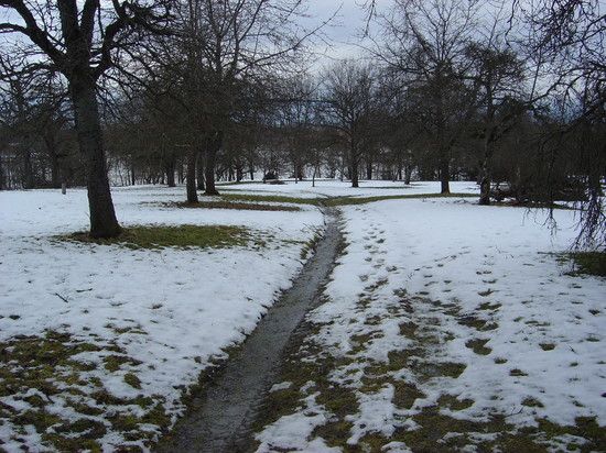 Nass und zäh 4