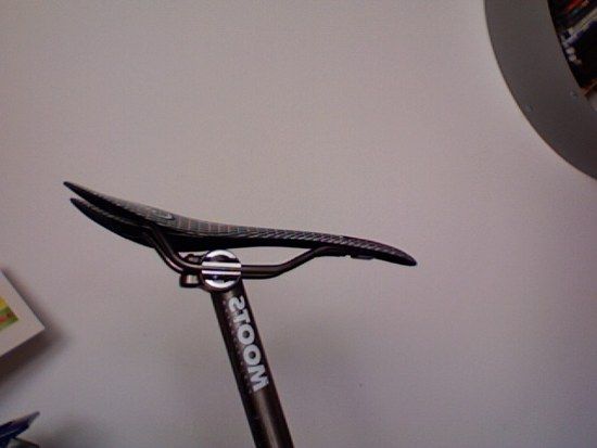 moots aspide