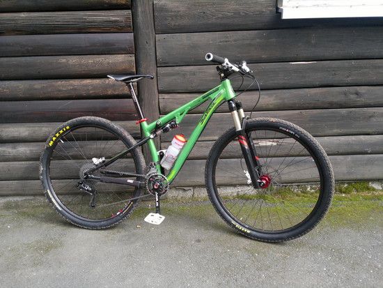 spearfishtaunus001