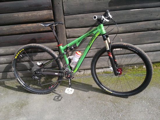 spearfishtaunus002