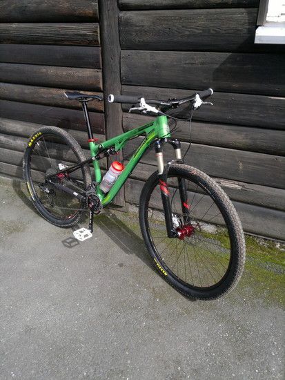 spearfishtaunus003