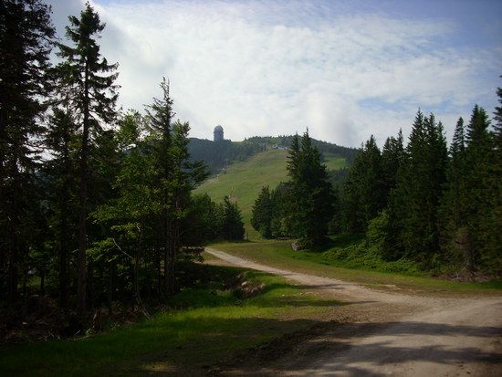 Der Aber