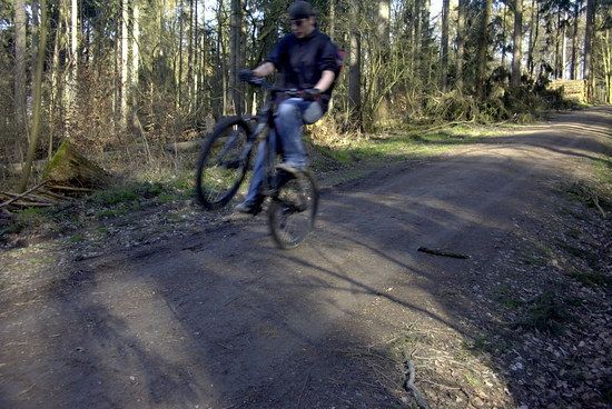 wheelie