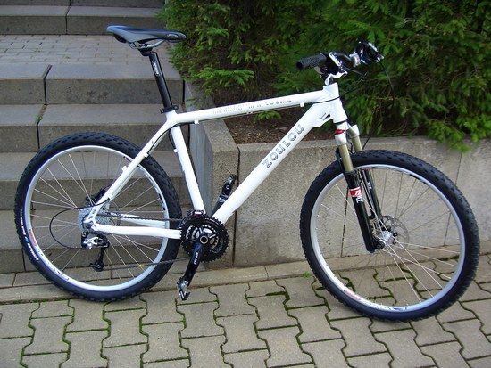DSCI0253