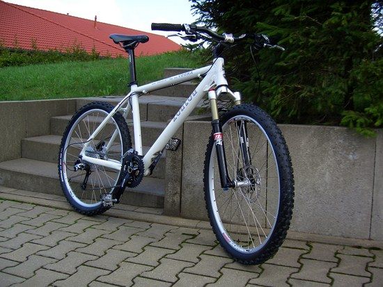 DSCI0254