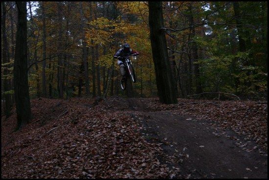 beerfelden36