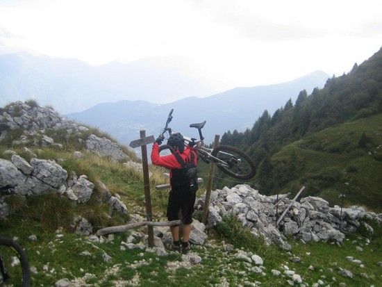 garda2008372