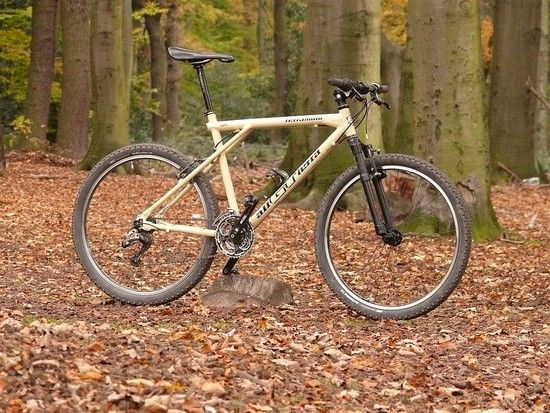 GT Terramoto 2
