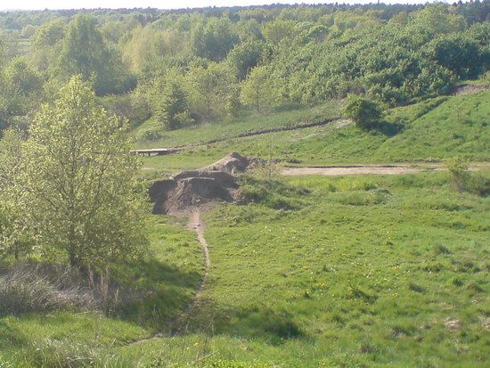 DSC00276