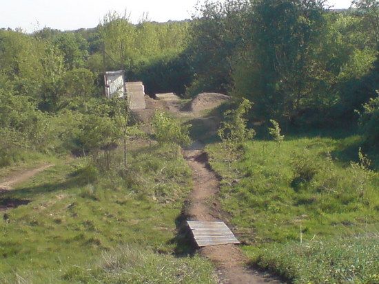 DSC00278
