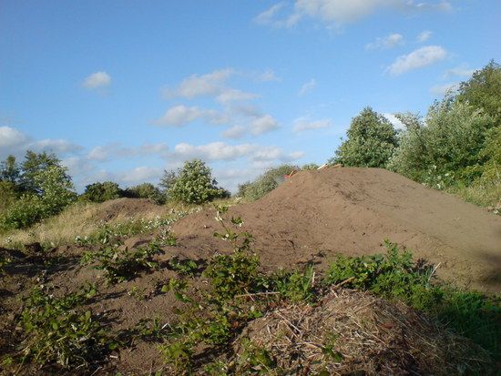 DSC00369