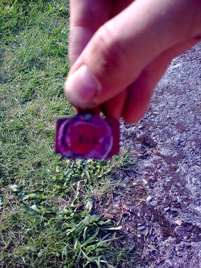 Bild0312