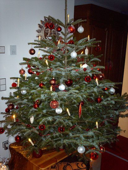 weinachtsbaum