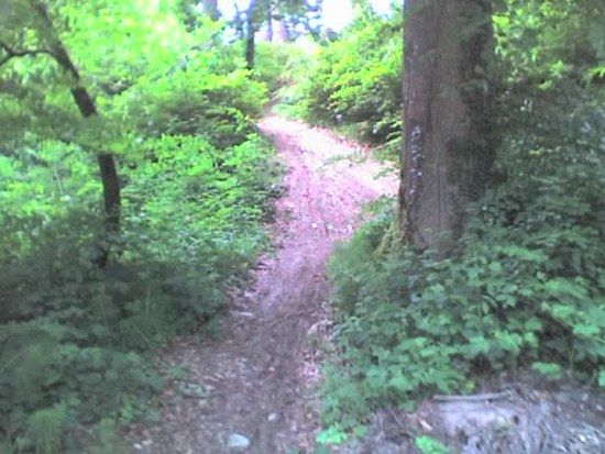 08-05-19 1352